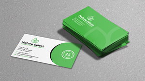 Business Card Design by Verified artistry (Design garden) for Daystar One | Design: #28532564