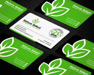Business Card Design by LAXMI DESIGNHUB for Daystar One | Design: #28524616