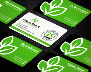 Business Card Design by LAXMI DESIGNHUB for Daystar One | Design: #28524617