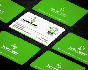Business Card Design by LAXMI DESIGNHUB for Daystar One | Design: #28524618