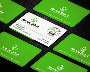 Business Card Design by LAXMI DESIGNHUB for Daystar One | Design: #28524624