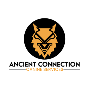 Logo Design by Rahim sheikh