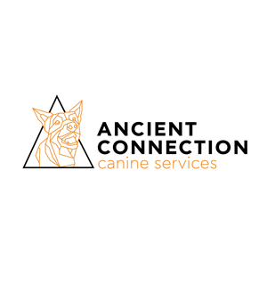 Logo Design by Alpha Designs