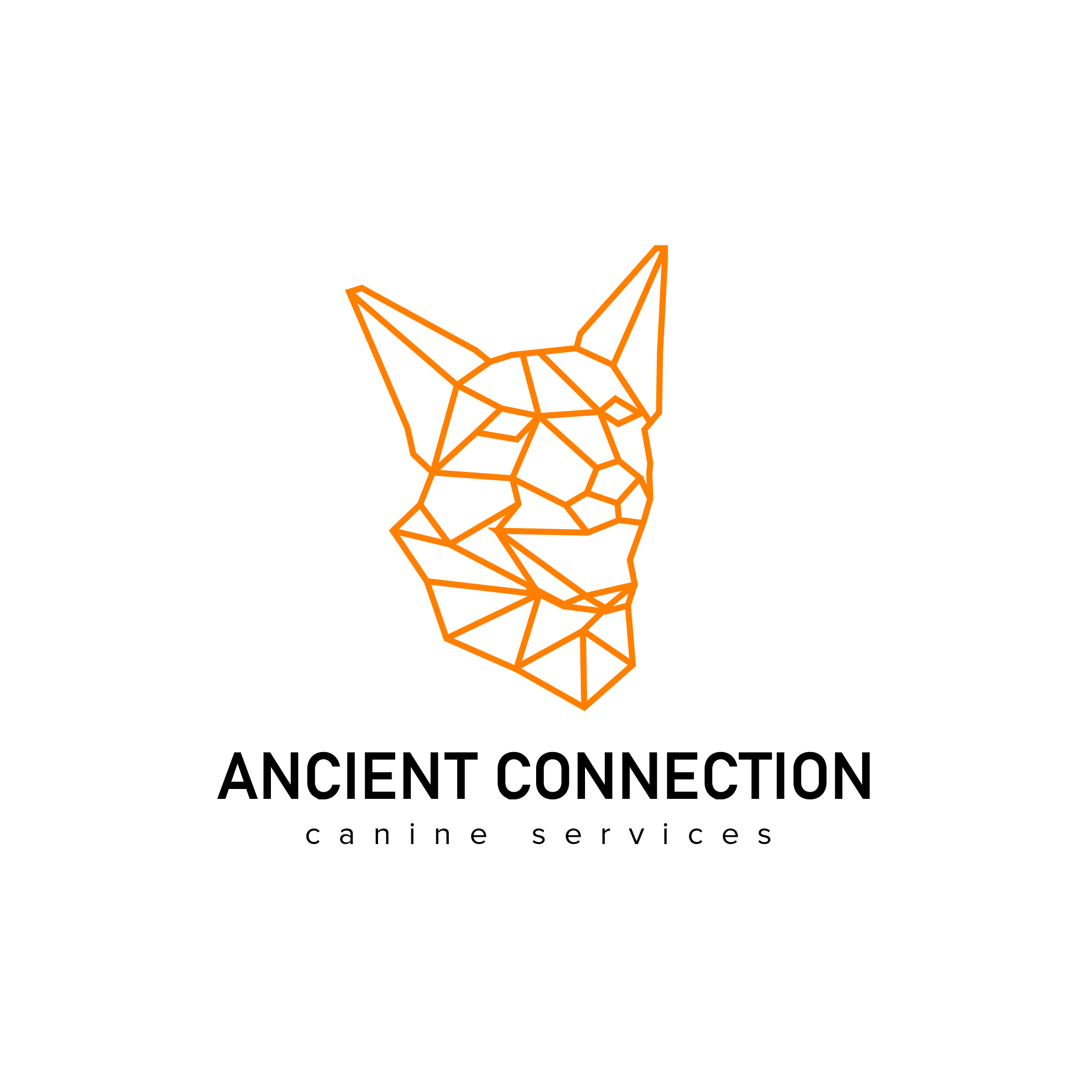 Logo Design by Abdulmumin Imam for The Blair Bush Project | Design #28531359