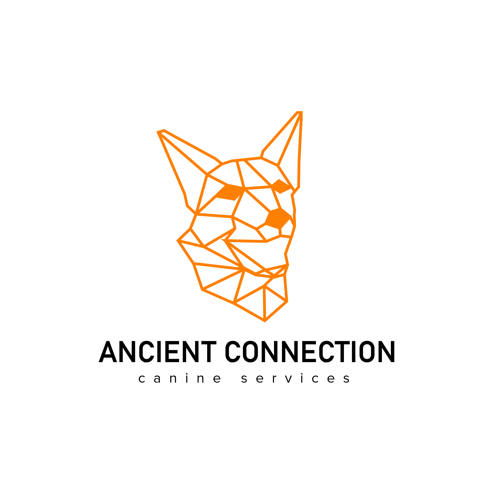 Logo Design by Abdulmumin Imam for The Blair Bush Project | Design #28531360