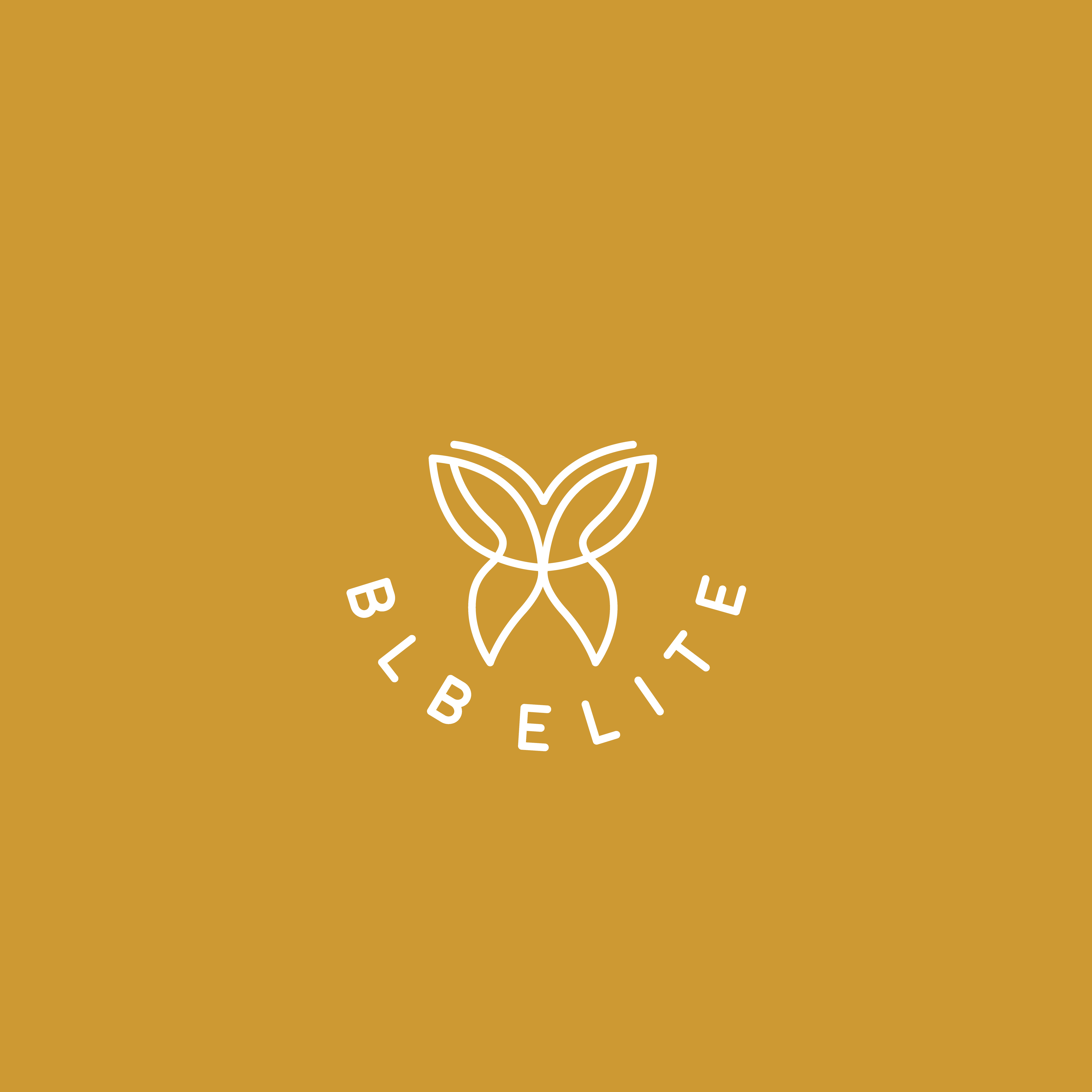 Diseño de Logo por UMA 7 para LifeRep | Diseño #28526287