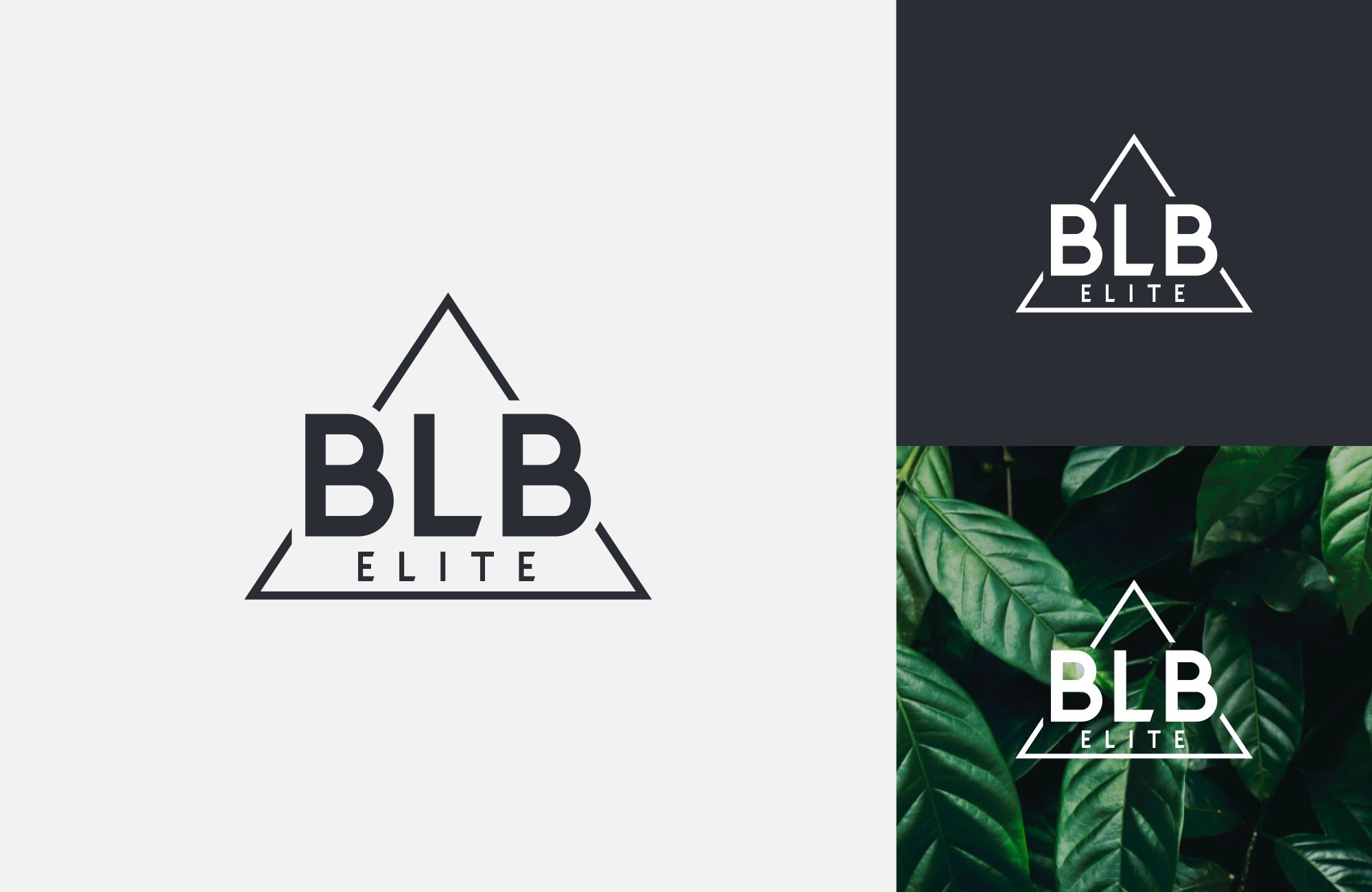 Diseño de Logo por GetLogo para LifeRep | Diseño #28519460