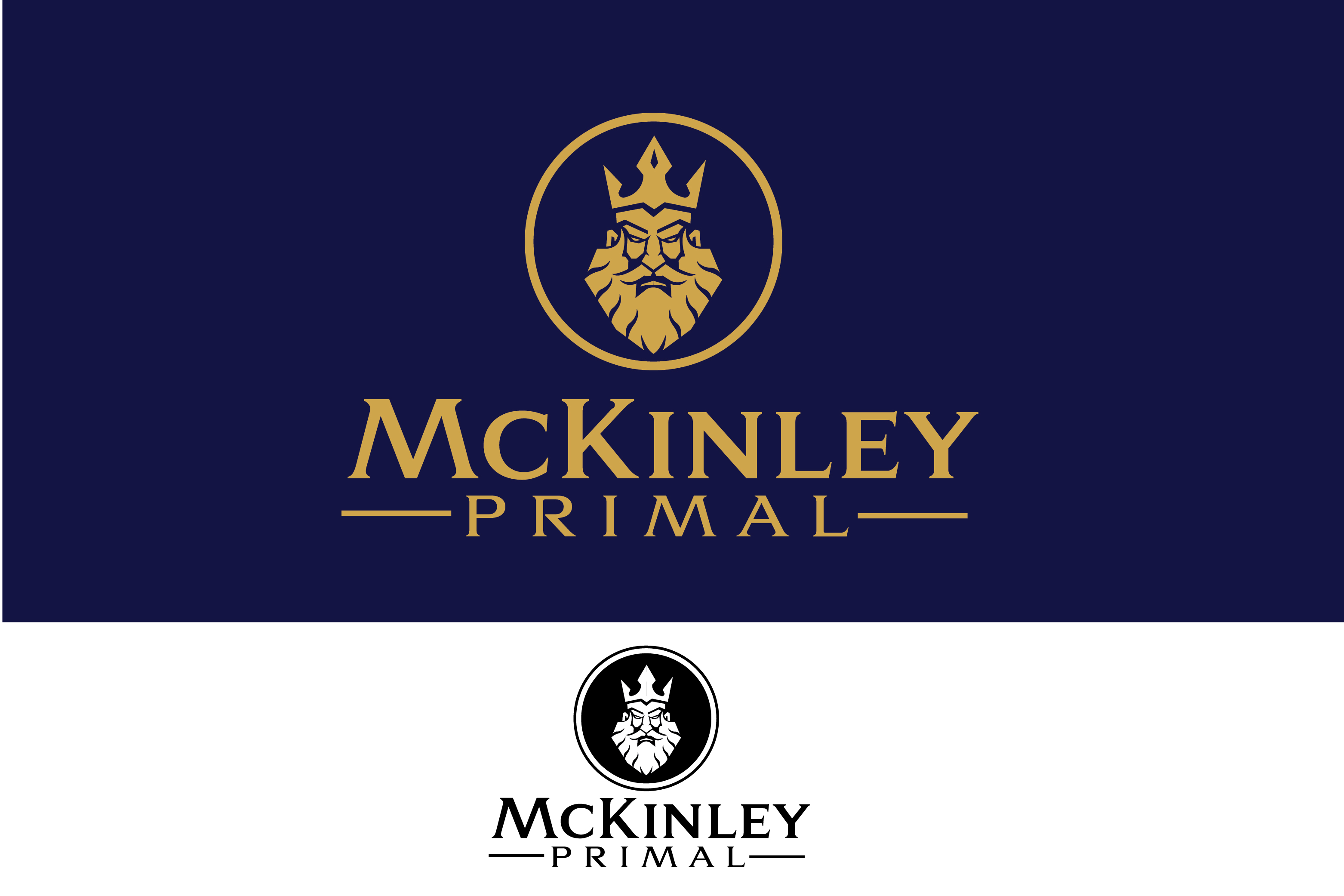 Logo Design by renderman for this project | Design #28520133