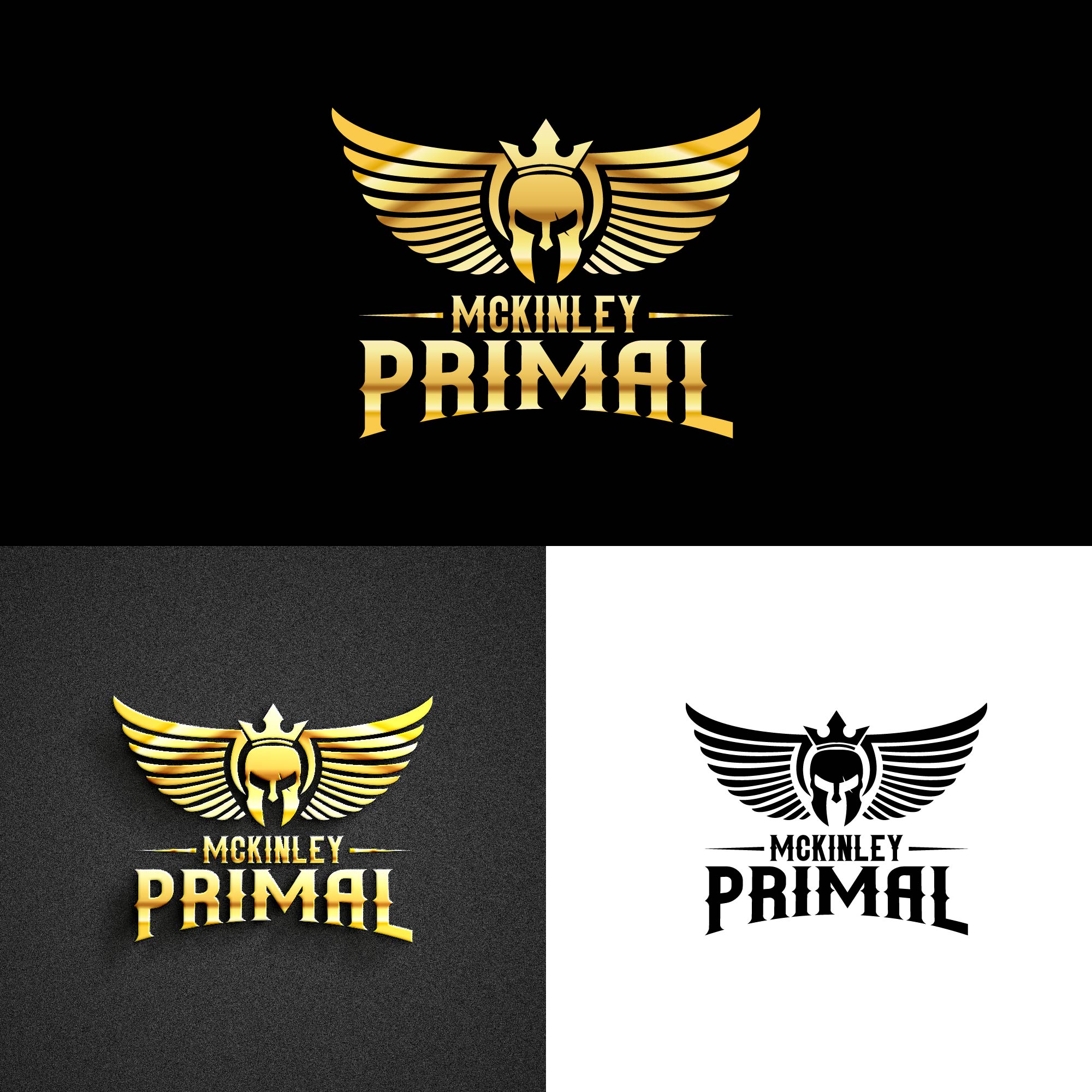 Logo Design by kaushal 05 for this project | Design #28519812