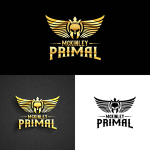 Logo Design by kaushal 05 for this project | Design: #28519812