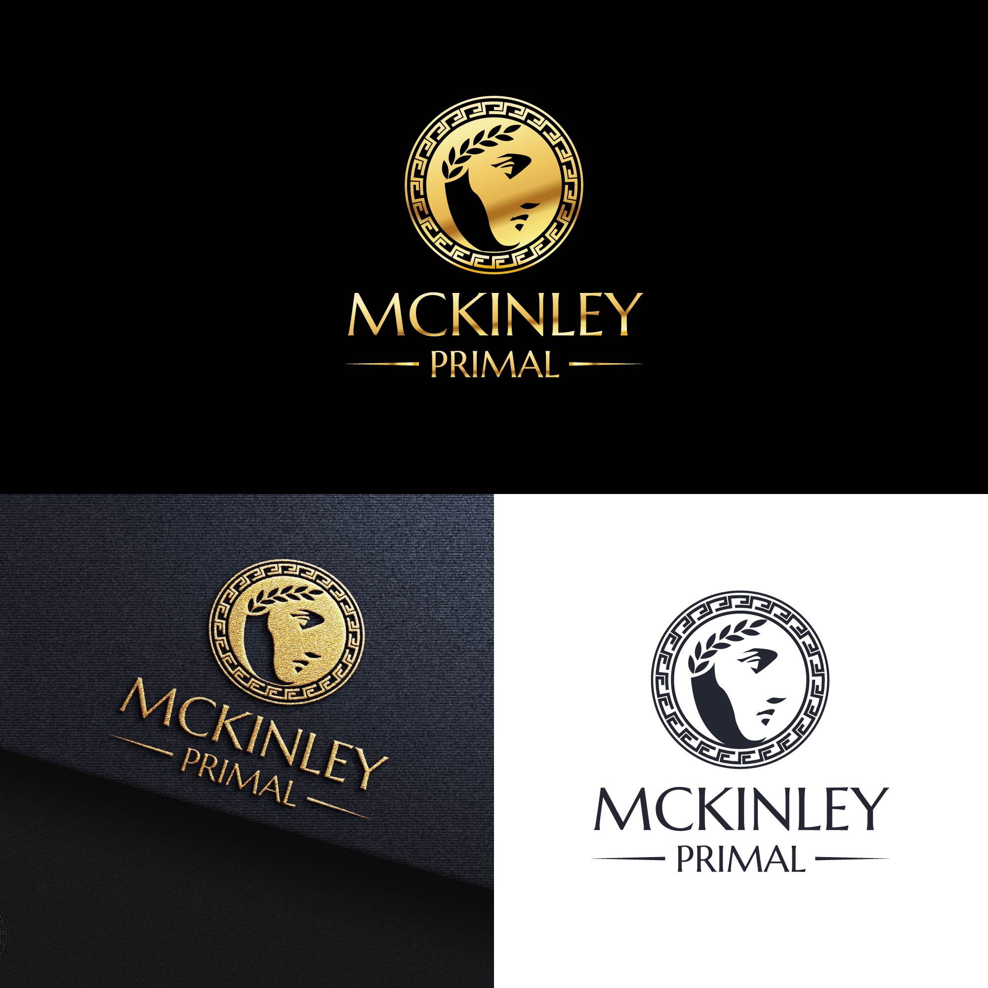 Logo Design by kaushal 05 for this project | Design #28526787