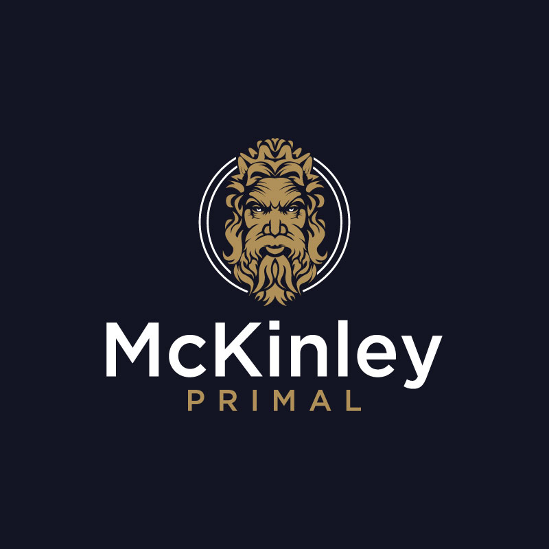 Logo Design by Ansh Design for this project | Design #28520075