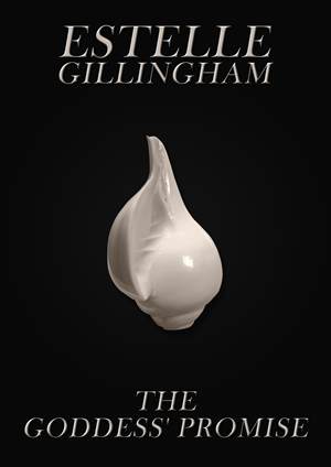 Book Cover Design by Nordic Designer for this project | Design: #28525216