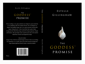 Book Cover Design by illuminati-design for this project | Design: #28534409