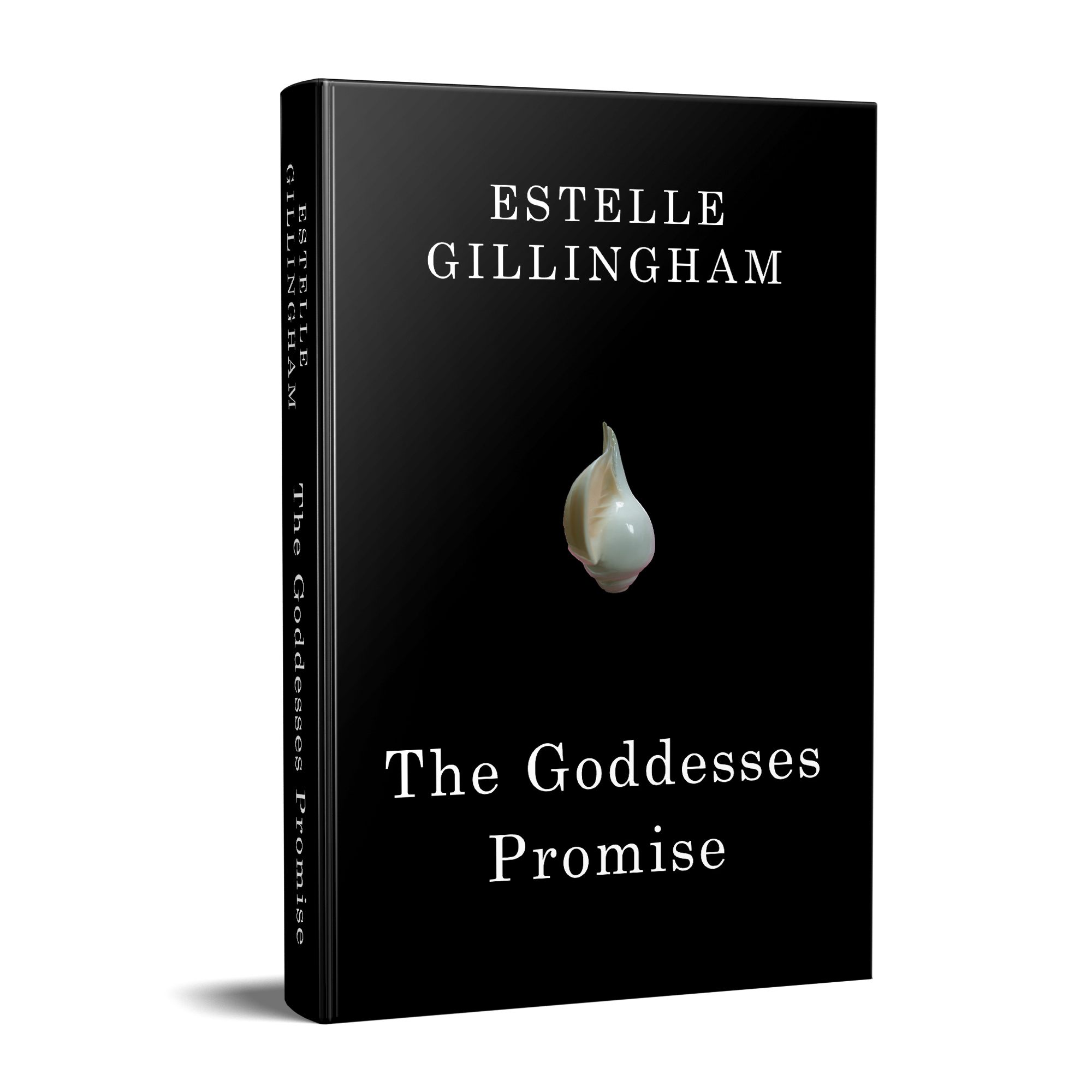 Book Cover Design by PavanPrajapati for this project | Design #28519769