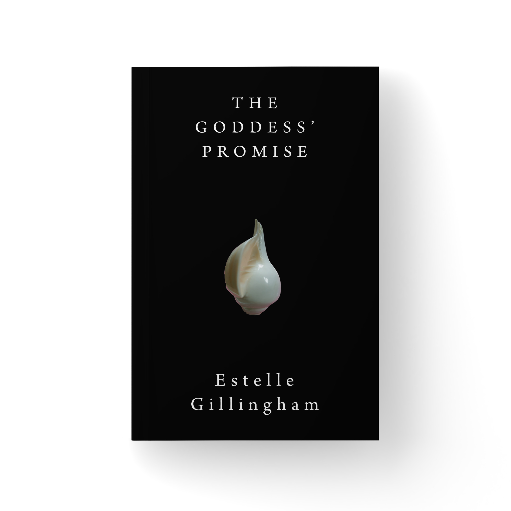 Book Cover Design by PavanPrajapati for this project | Design #28528162