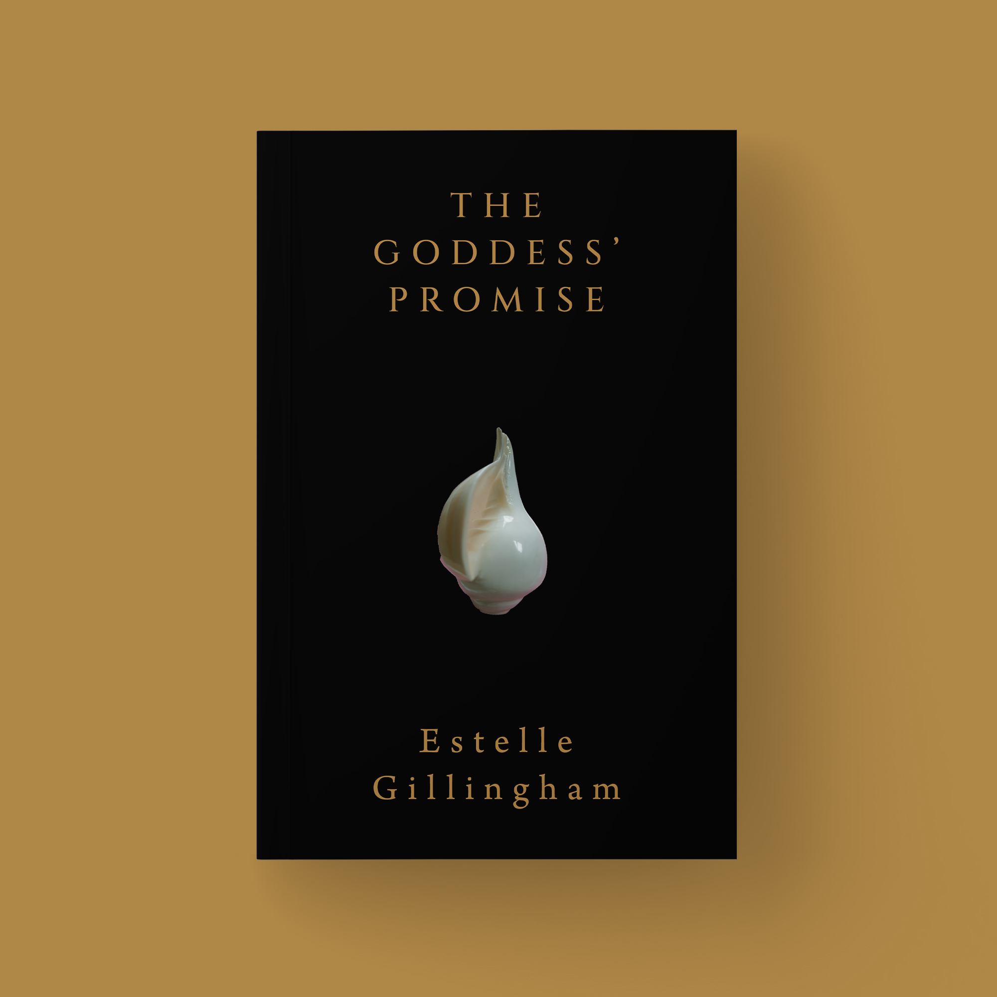 Book Cover Design by PavanPrajapati for this project | Design #28528173