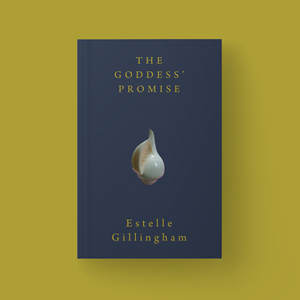 Book Cover Design by PavanPrajapati for this project | Design: #28528178