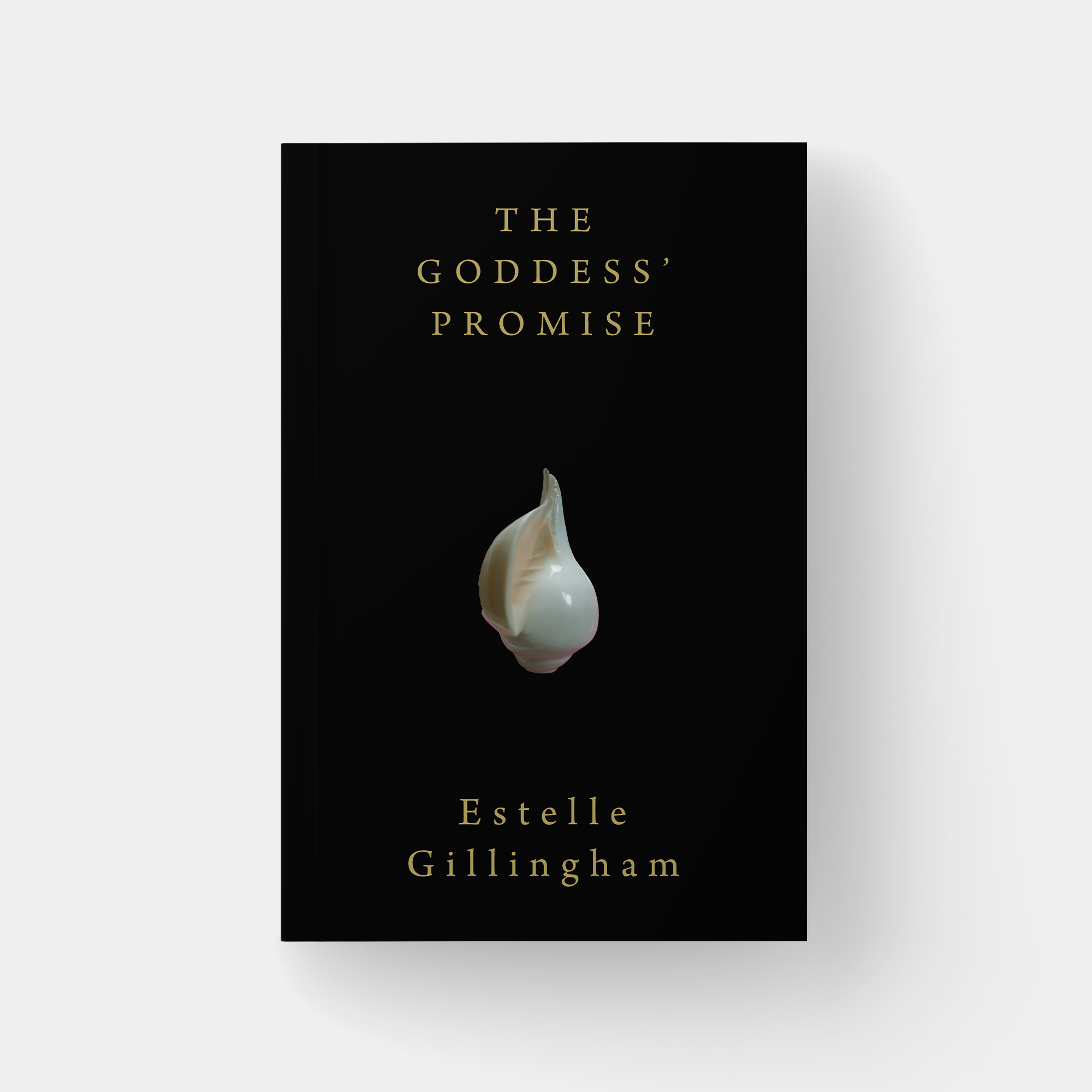 Diseño de portada de libro por PavanPrajapati para este proyecto | Diseño #28528189