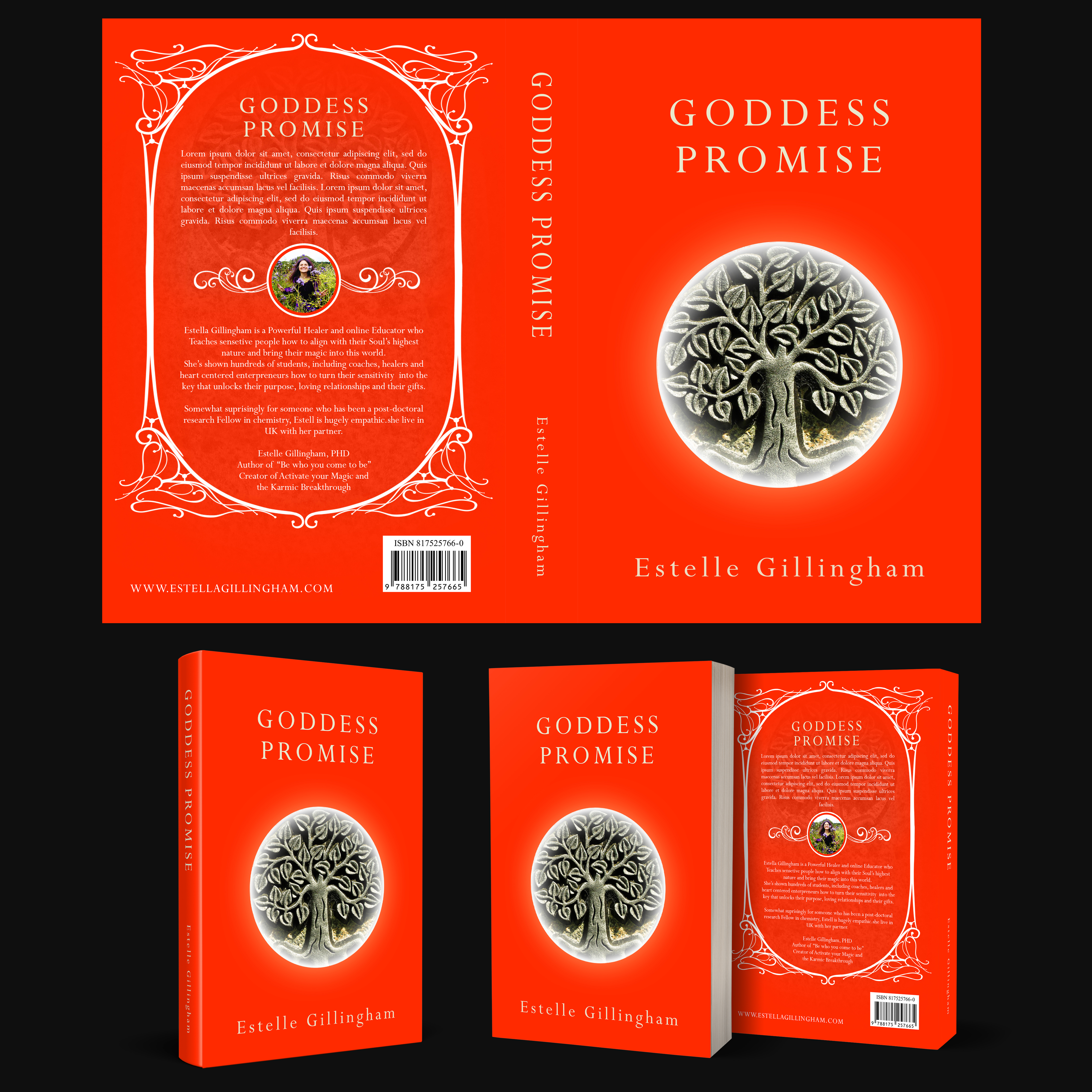 Diseño de portada de libro por aj para este proyecto | Diseño #28532845