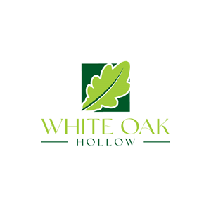 Logo Design by Ansh Design for this project | Design: #28521218