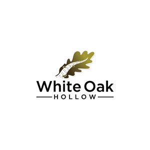 Logo Design by Ansh Design for this project | Design: #28521219