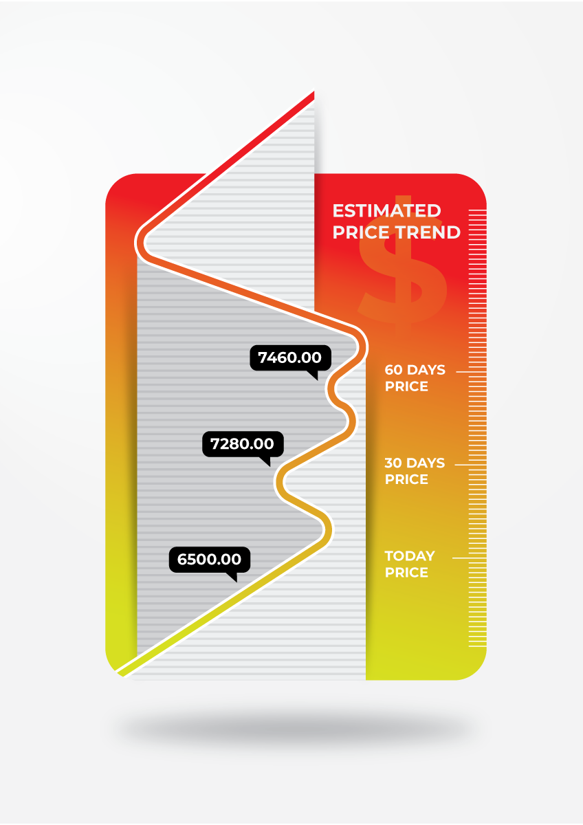 Infographic Design by JK18 for this project | Design #28528324