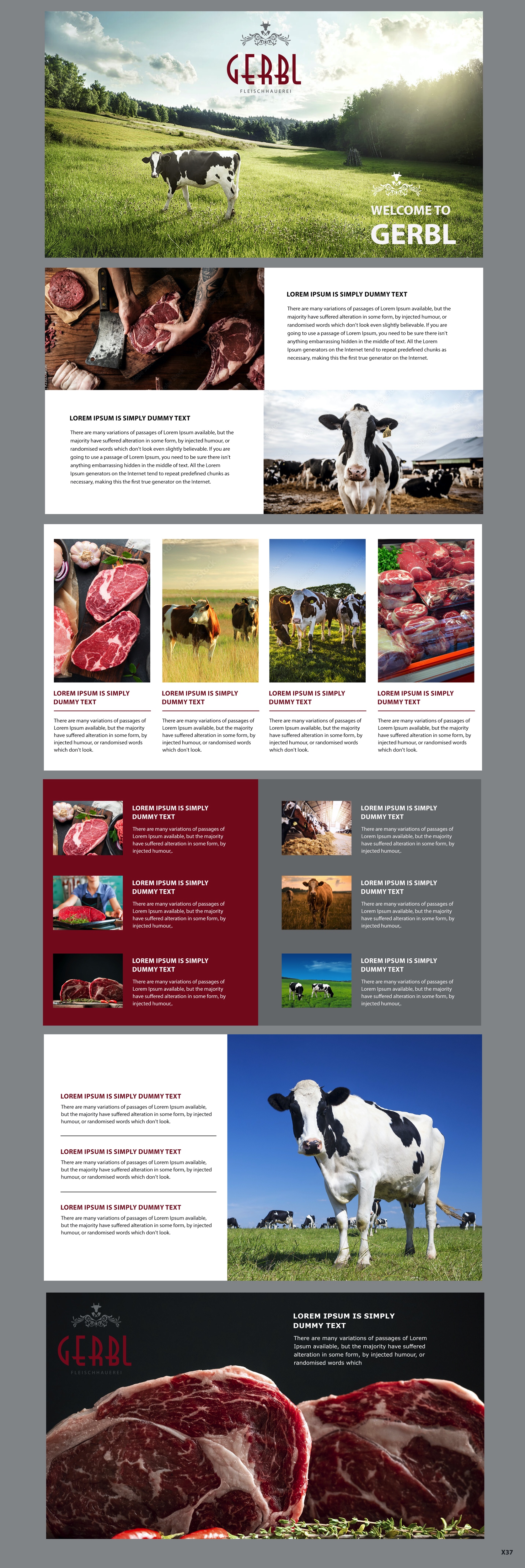 PowerPoint Design by pb for this project | Design #28541434