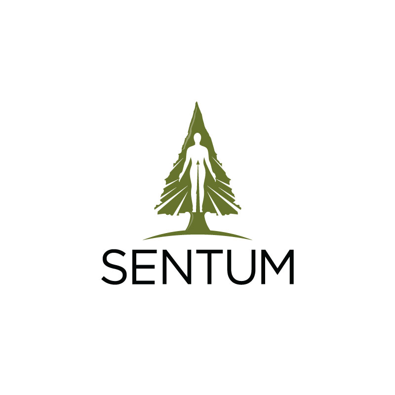 Logo Design by Ansh Design for this project | Design #28529639