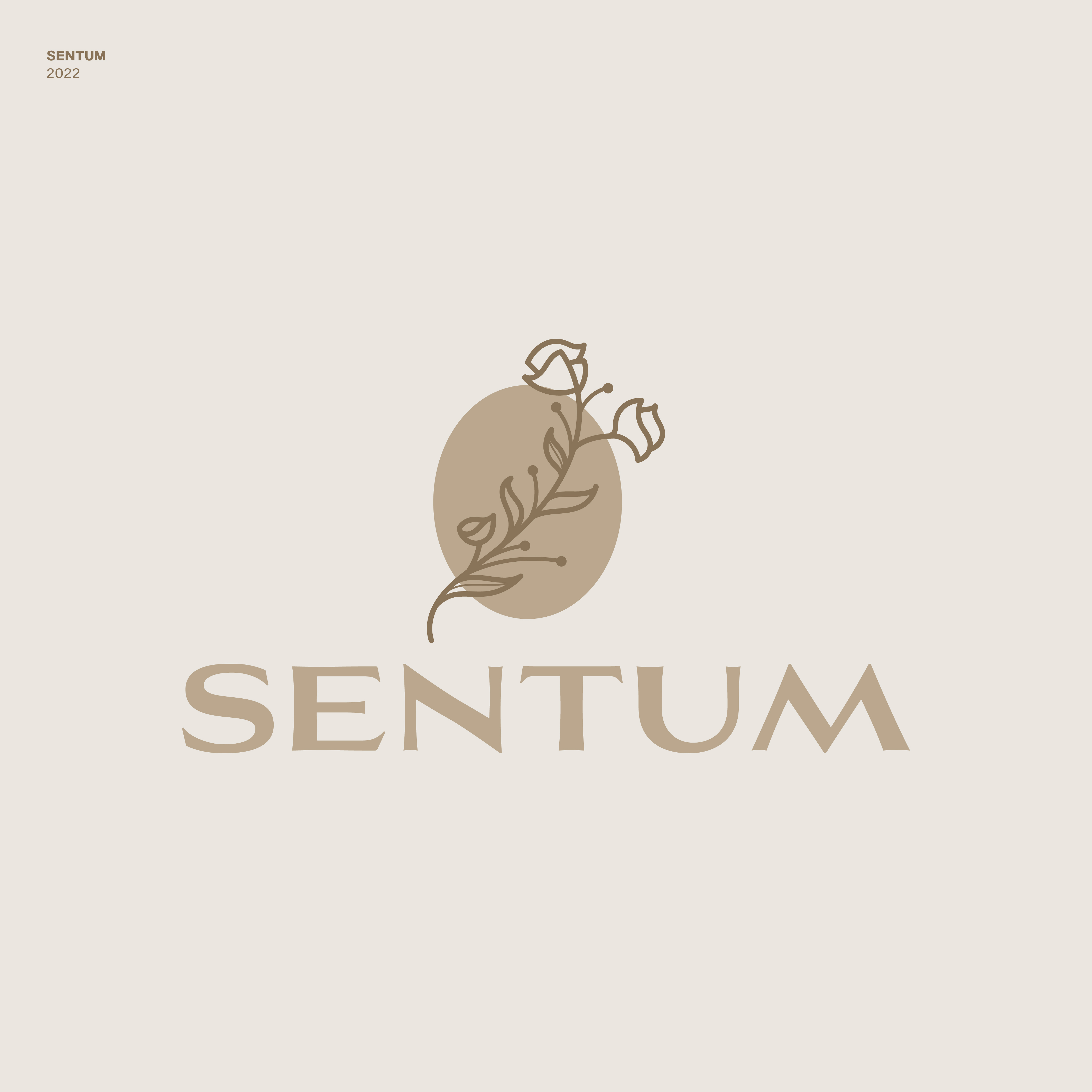 Logo Design by JBalloon Design for this project | Design #28531436