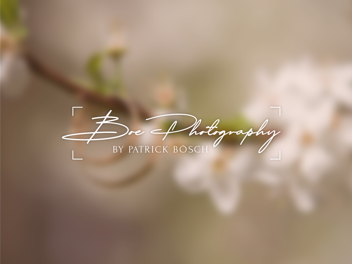 Logo-Design von Caribu inc für dieses Projekt | Design #28547922