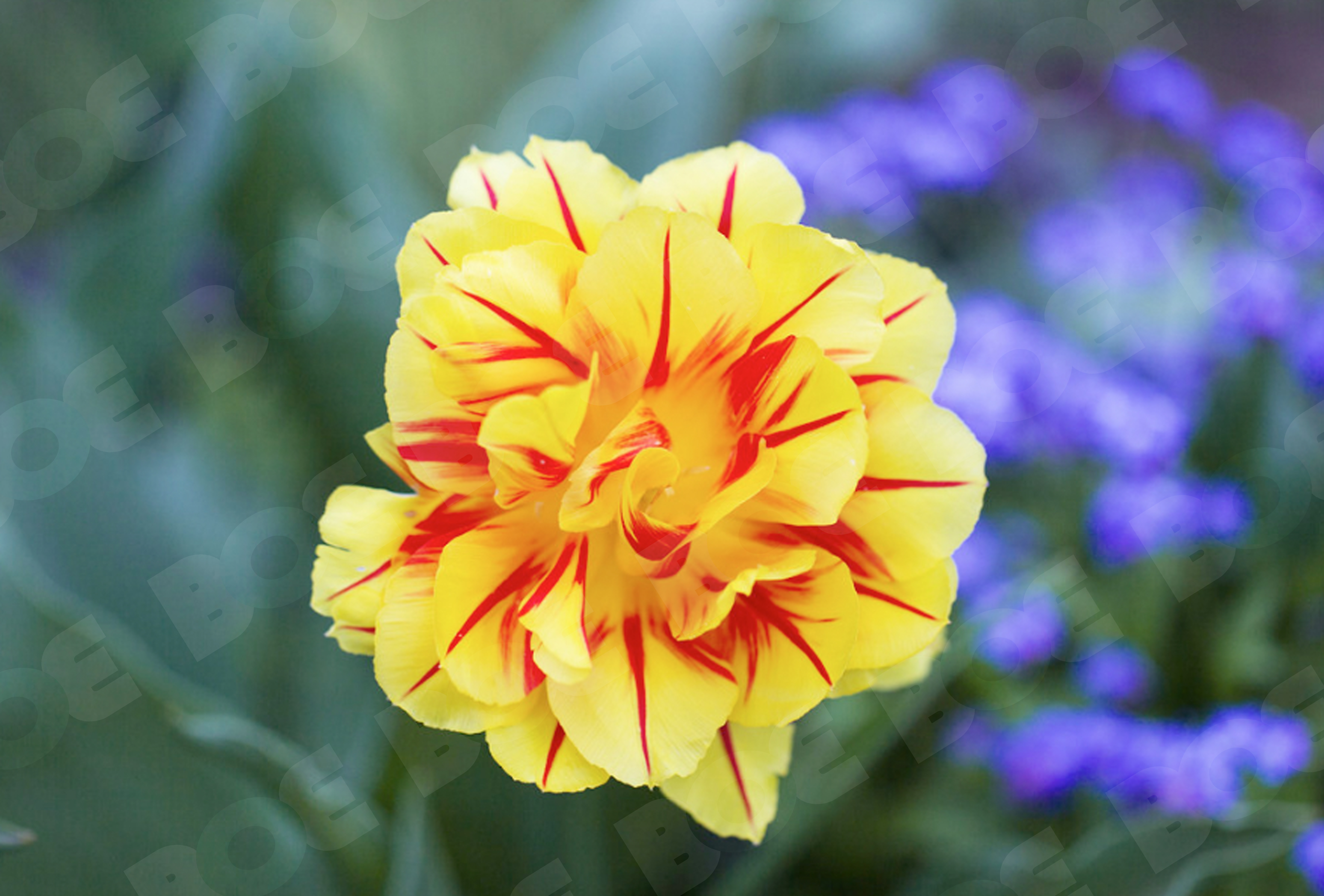 Logo Design by MCT DESIGNS for this project | Design #28722668