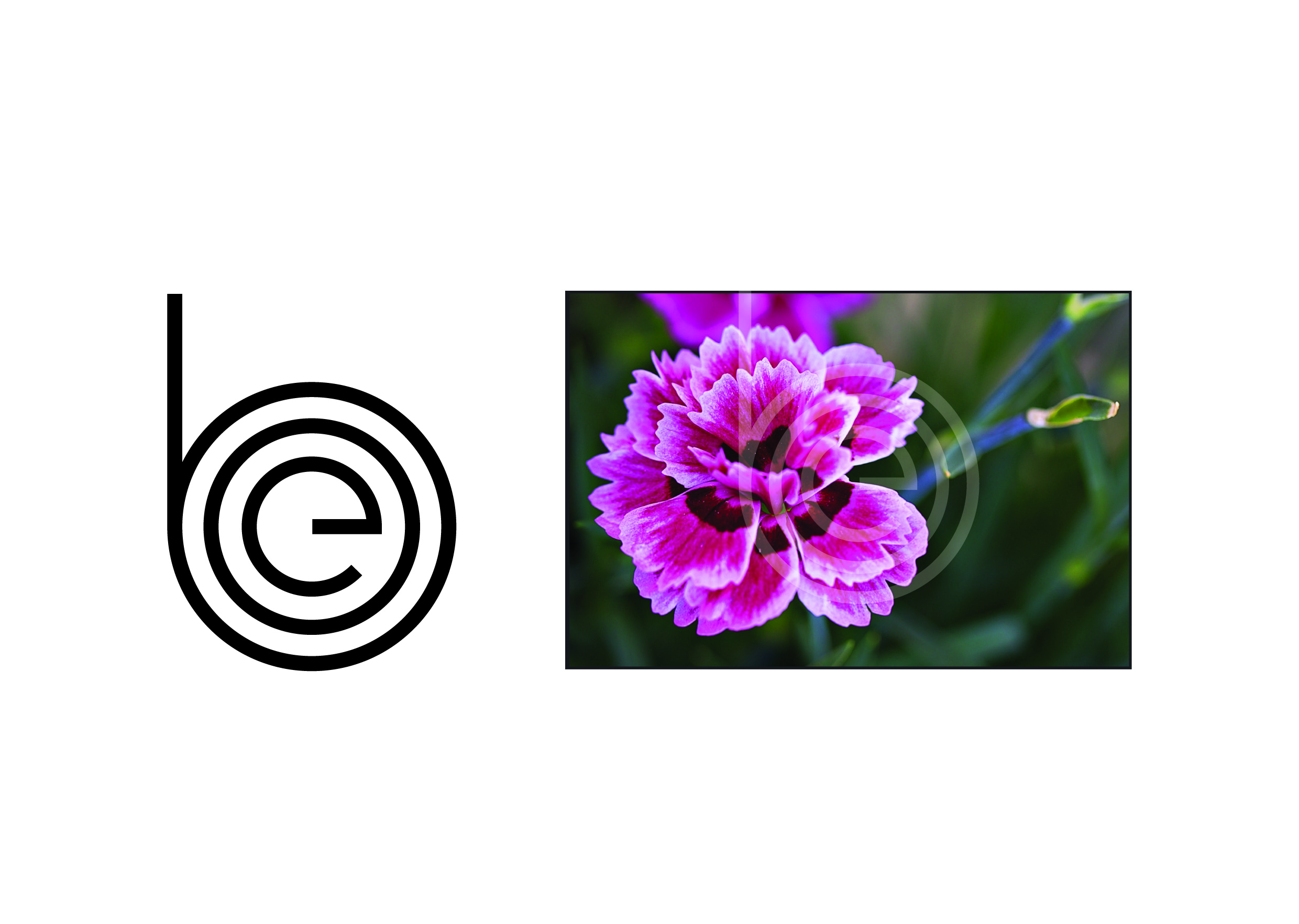 Logo Design by bdk1976 for this project | Design #28545591
