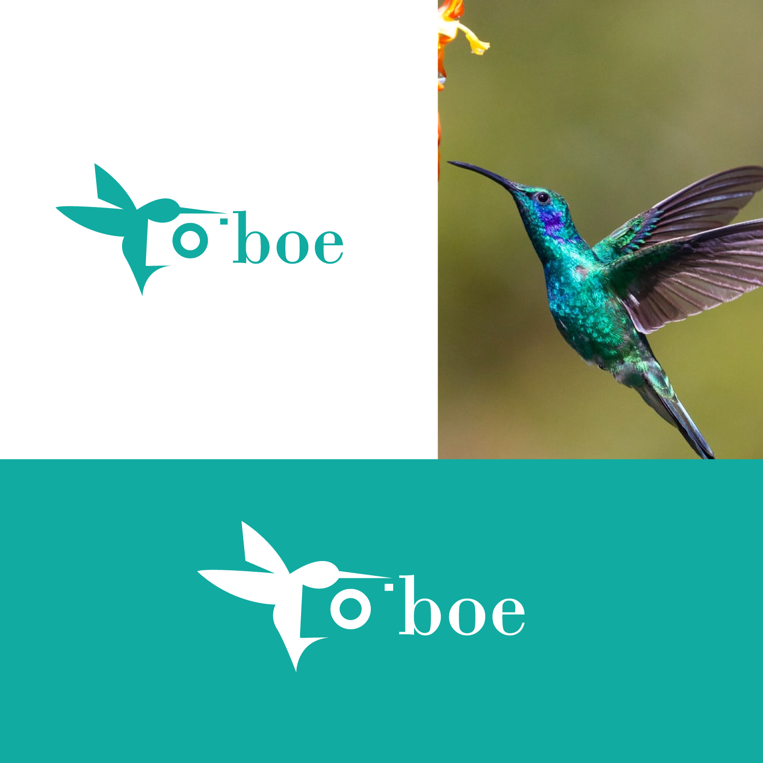 Logo Design by Abdul 20 for this project | Design #28533137