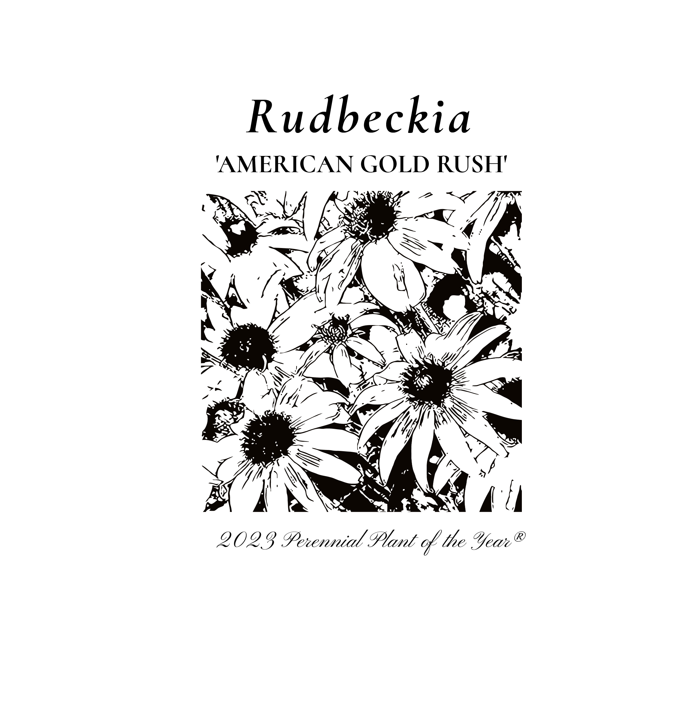 Diseño de Camiseta por Kristina Andonoff para Perennial Plant Association | Diseño #28531115