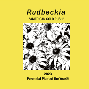 Design de T-shirt par Kristina Andonoff pour Perennial Plant Association | Design : #28567068