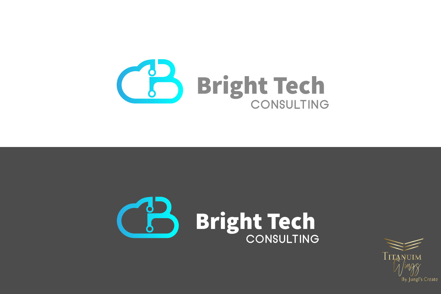 Logo Design by titanium wings for this project | Design #28540765