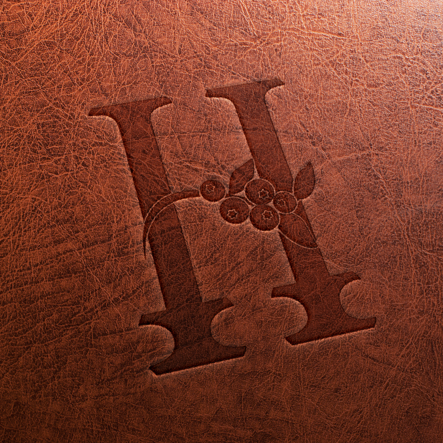 Logo Design by borzoid for this project | Design #28539813