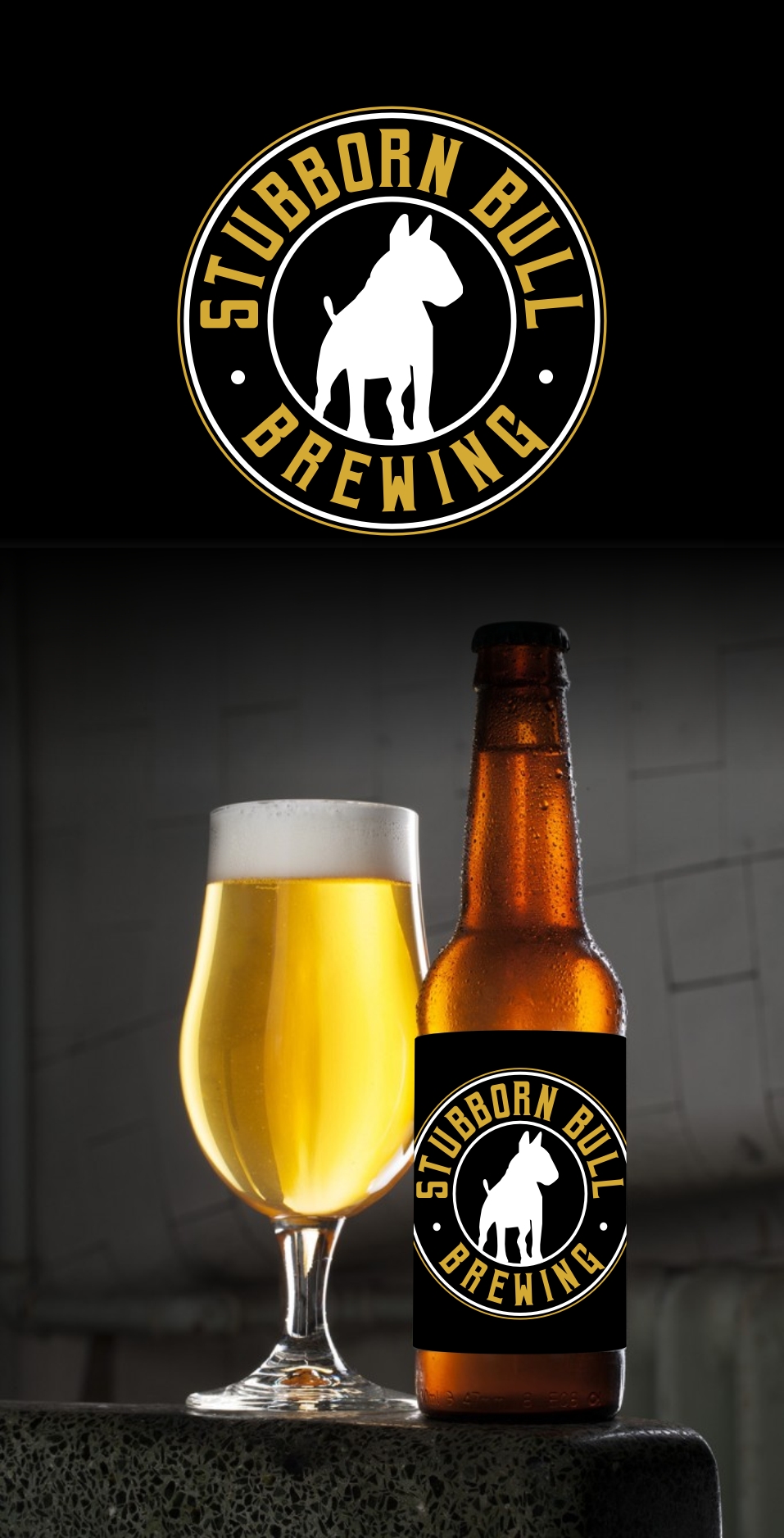 Logo-Design von filip.jelkic für dieses Projekt | Design #28564560