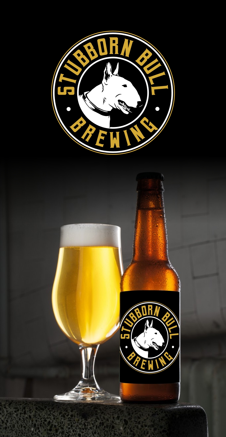 Logo-Design von filip.jelkic für dieses Projekt | Design #28575541