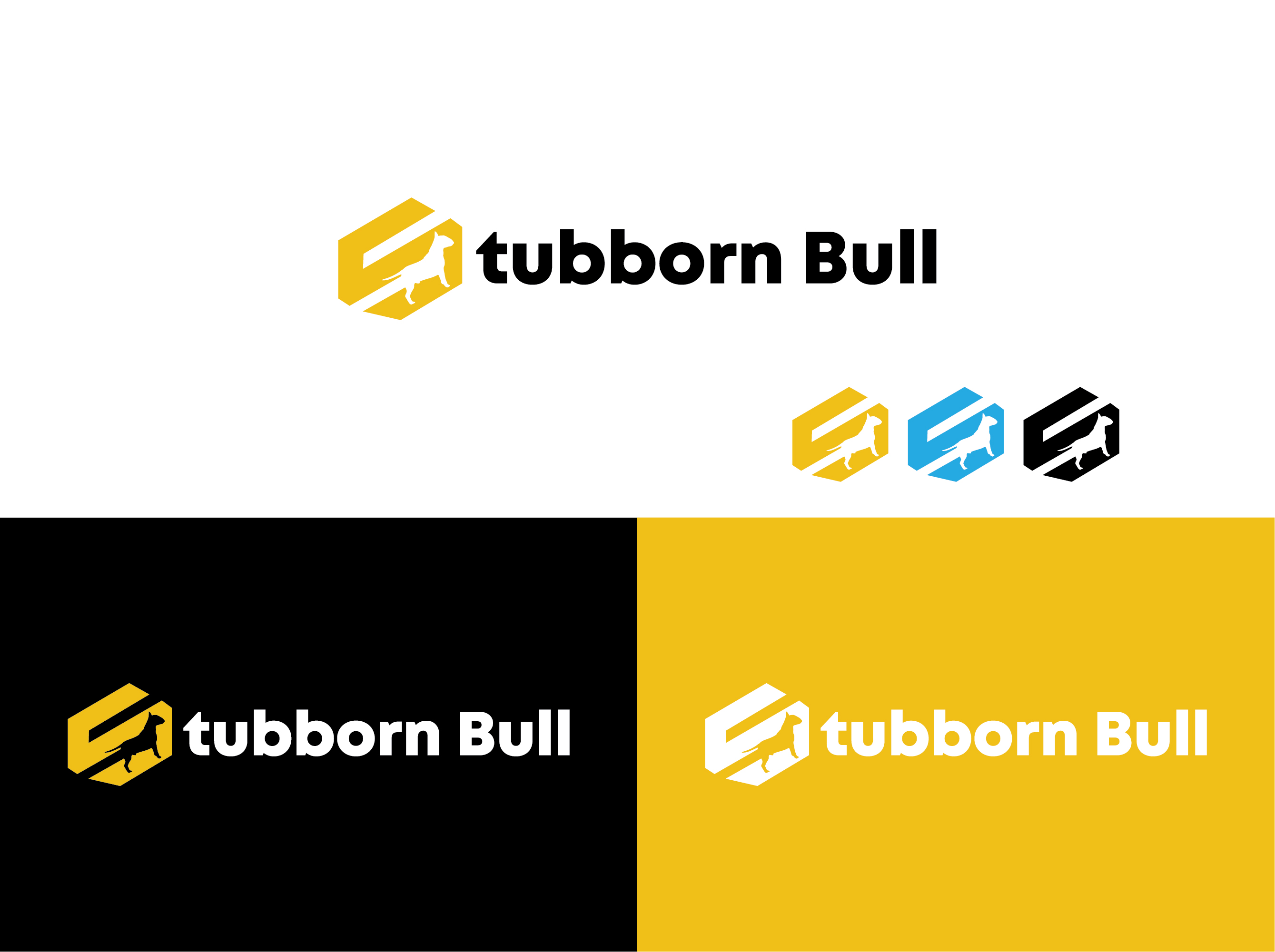 Logo-Design von sun_bird für dieses Projekt | Design #28573871