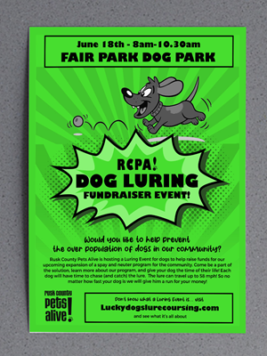 Flyer Design by rug