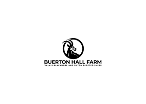 Logo Design by DesignHour
