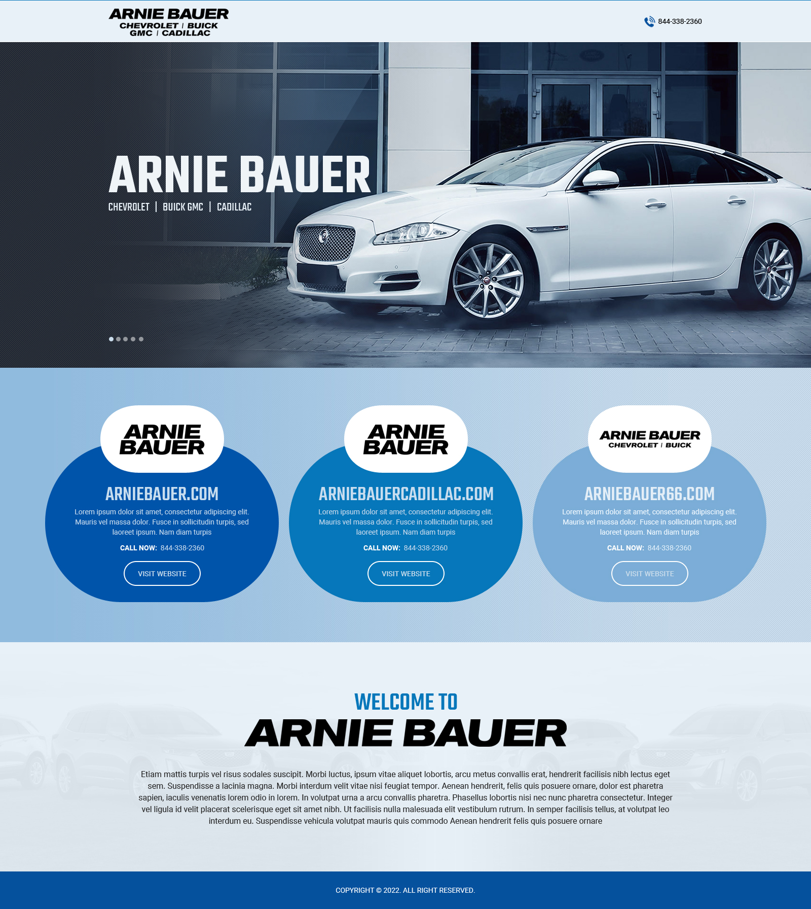 Landing Page Design by Dream Logo Design for Arnie Bauer | Design #28551525
