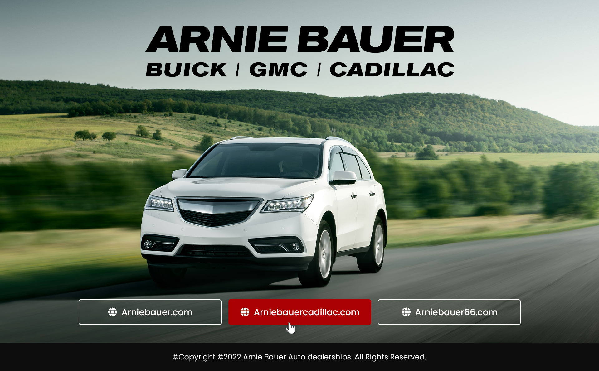 Landing Page Design by Titan Eagle for Arnie Bauer | Design #28554502