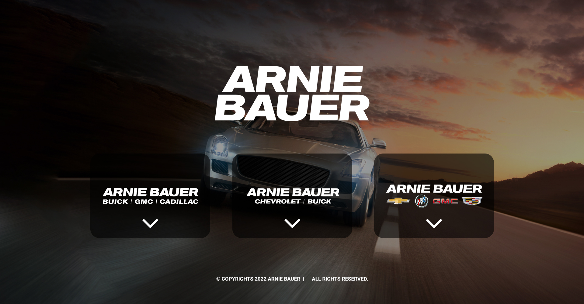 Landing Page Design by Titan Eagle for Arnie Bauer | Design #28557770