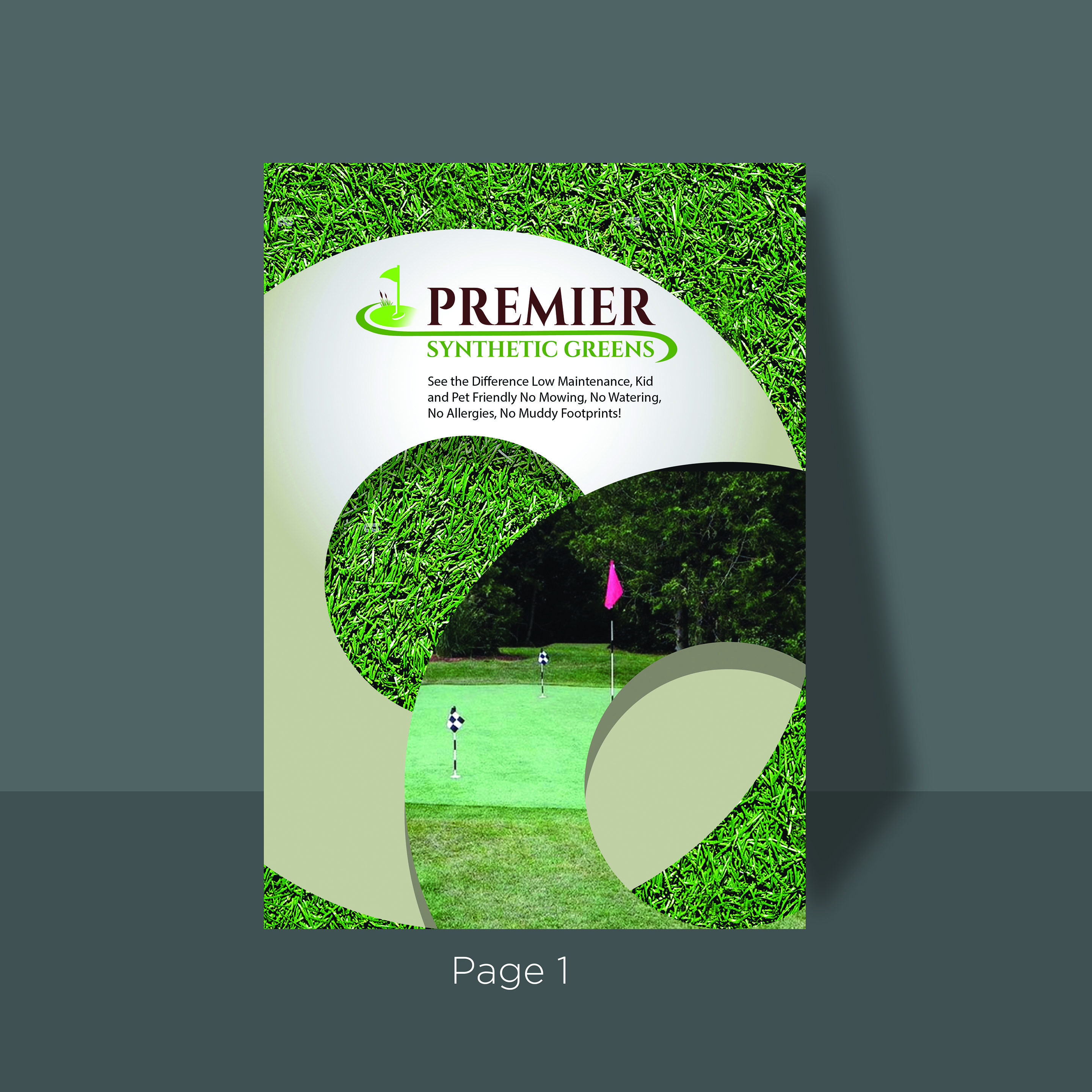 Flyer Design by ganz abecia for this project | Design #28580463