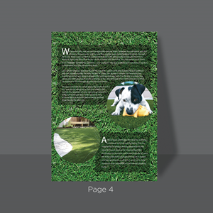 Flyer Design by ganz abecia for this project | Design: #28580544