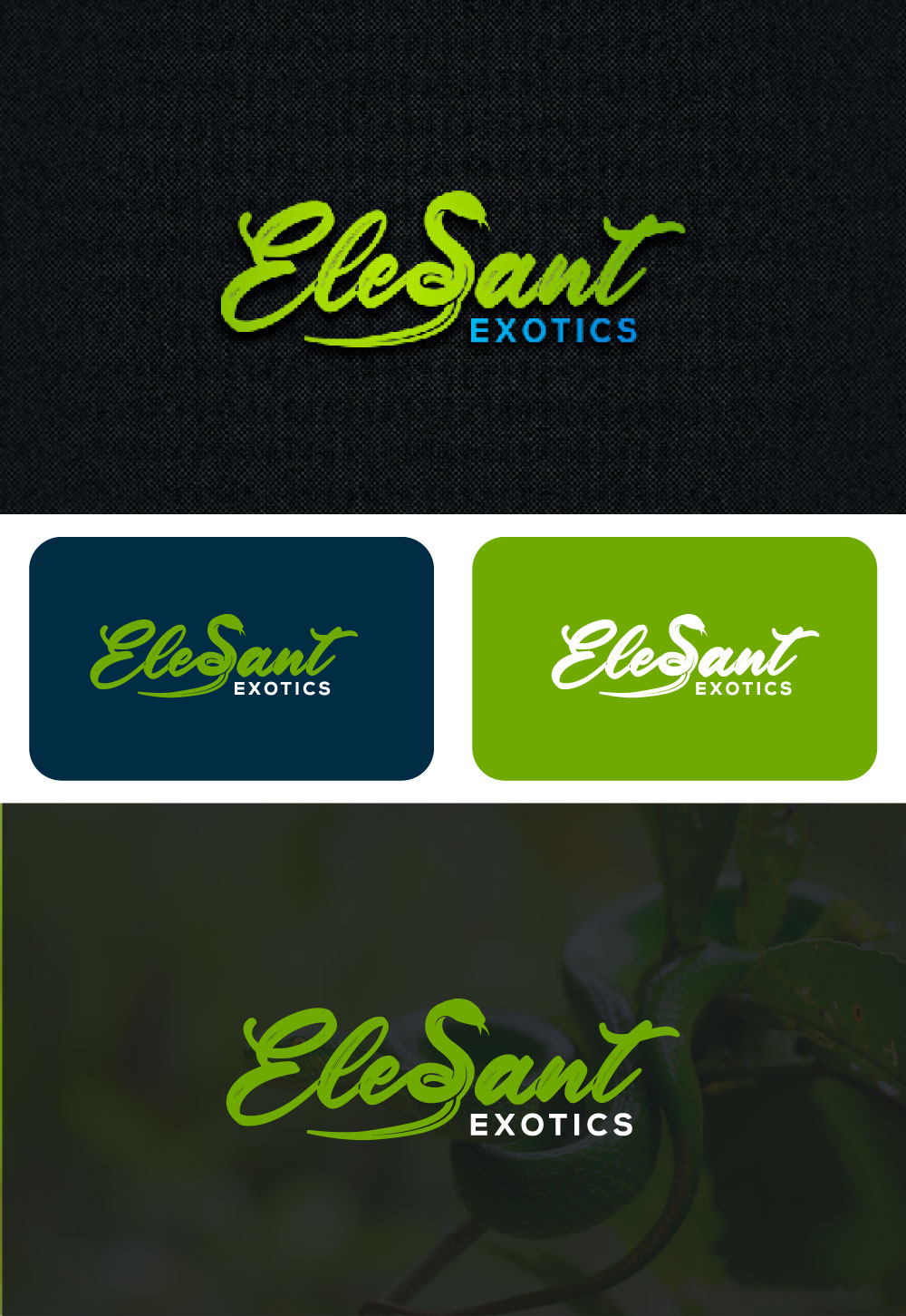 Logo Design by Mi Design1 for this project | Design #28553709