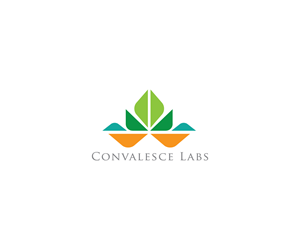 Diseño de Logo por meygekon para este proyecto | Diseño: #28604178